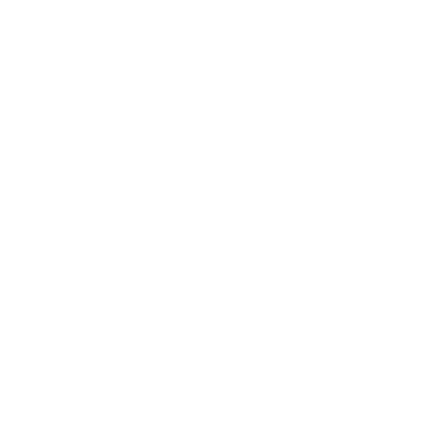 Arcticana offers a range of services to help companies improve processes, enhance organizational capabilities, and align operating models with strategic business objectives.